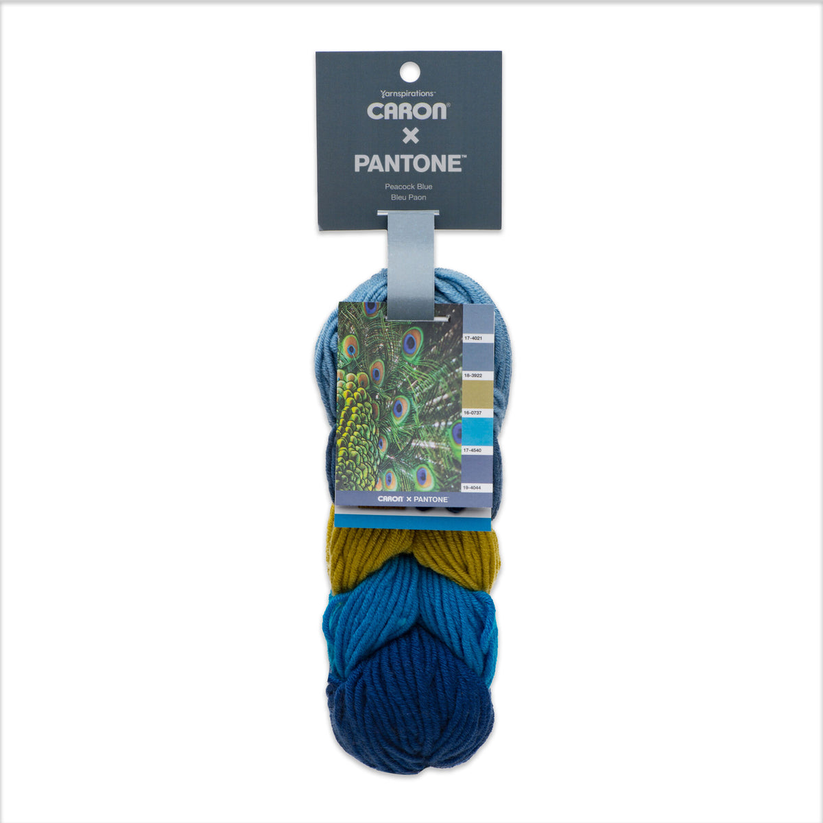 Caron x Pantone Yarn (100g)